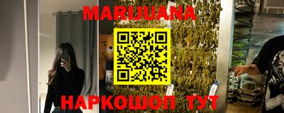 прущие грибы Ирбит