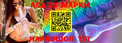 гашик Изобильный